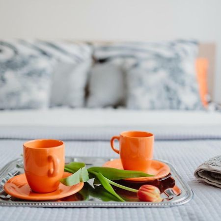 Garden Apartment Krakow Luaran gambar