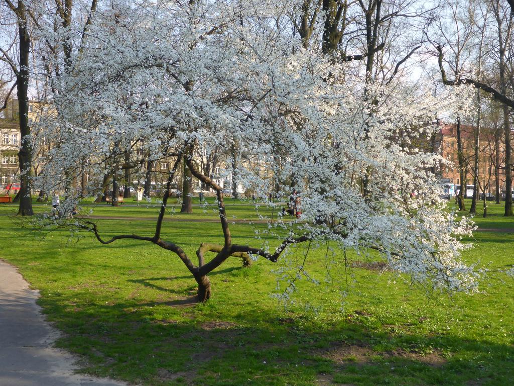 Garden Apartment Krakow Luaran gambar