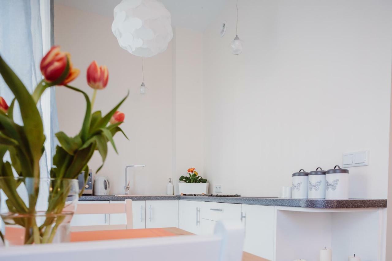 Garden Apartment Krakow Luaran gambar